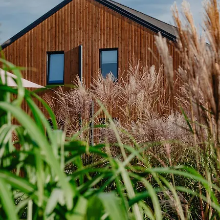 شقة Dwa Brzegi مينزفوجة