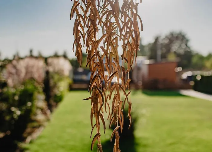 Dwa Brzegi Międzywodzie