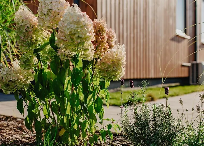 Dwa Brzegi Apartmán