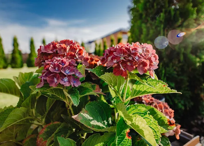 Dwa Brzegi Apartmán *